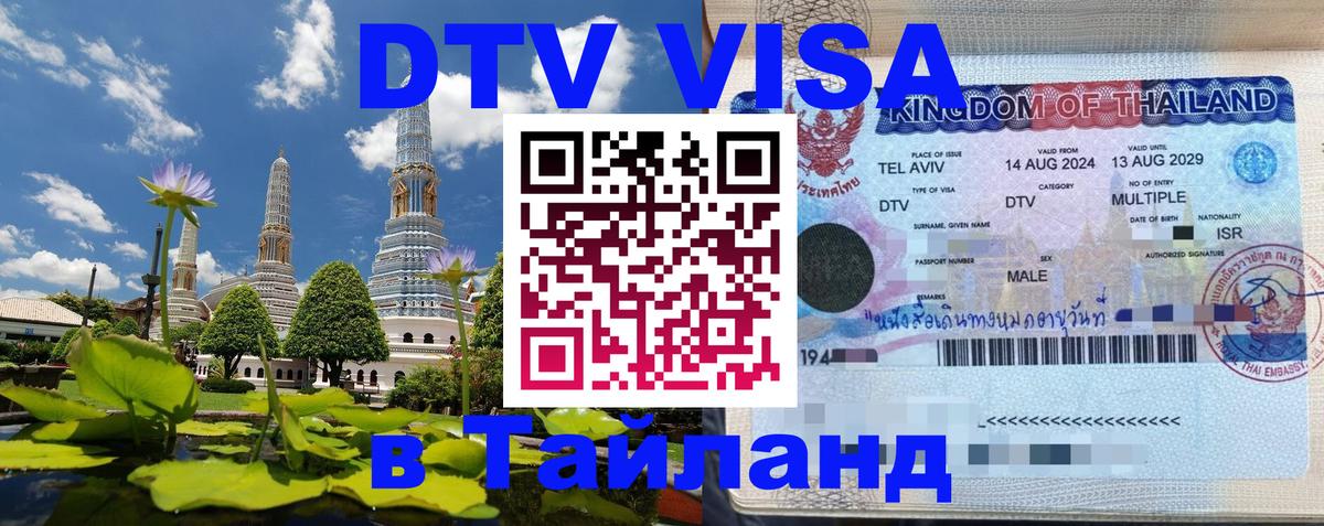 Оформление DTV визы под ключ: стоимость и тарифы, только загранпаспорт - Тегеран  18.11.2025 